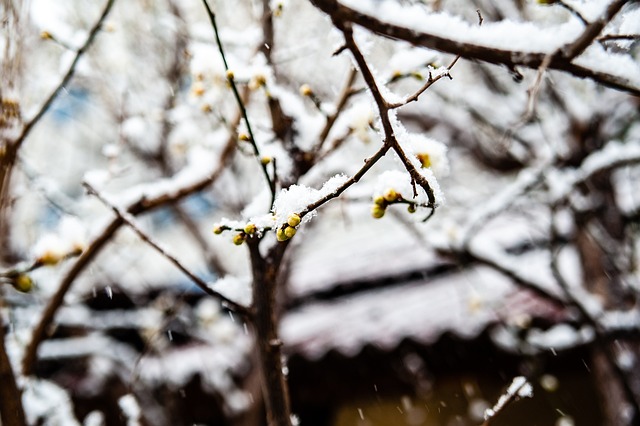 img3.webp